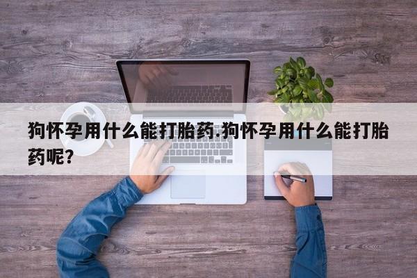 流产药微信购买联系方式狗怀孕用什么能打胎药.狗怀孕用什么能打胎药呢？