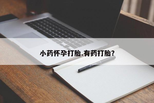 流产药微信购买联系方式小药怀孕打胎.有药打胎？