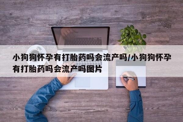 流产药微信购买联系方式小狗狗怀孕有打胎药吗会流产吗/小狗狗怀孕有打胎药吗会流产吗图片
