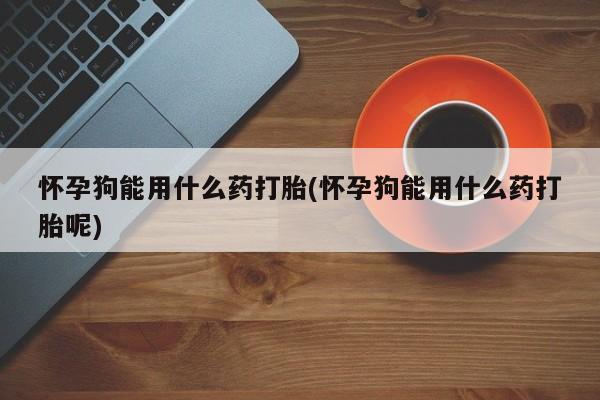 流产药微信购买联系方式怀孕狗能用什么药打胎(怀孕狗能用什么药打胎呢)